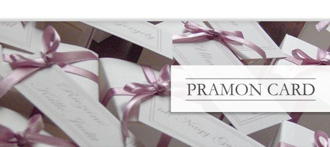 pramoncard.hu